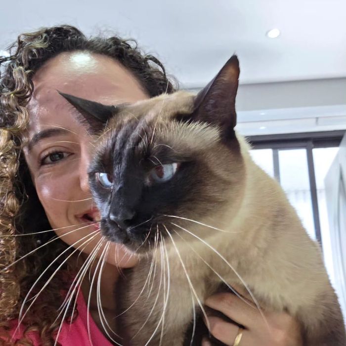 Pet cuidado pela Carol